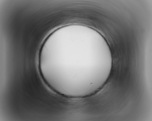 X0000091661523200709201135