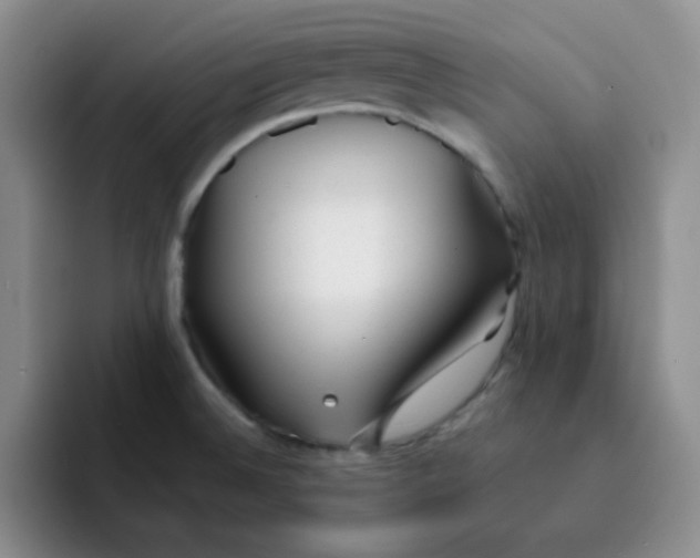 X0000091661524200709201135