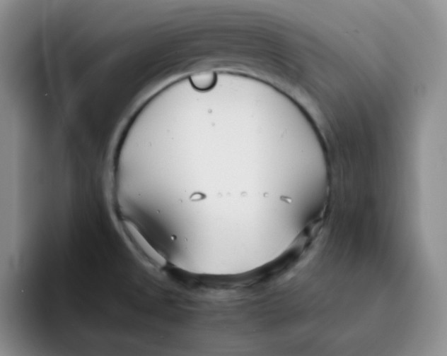 X0000091661525200709201135