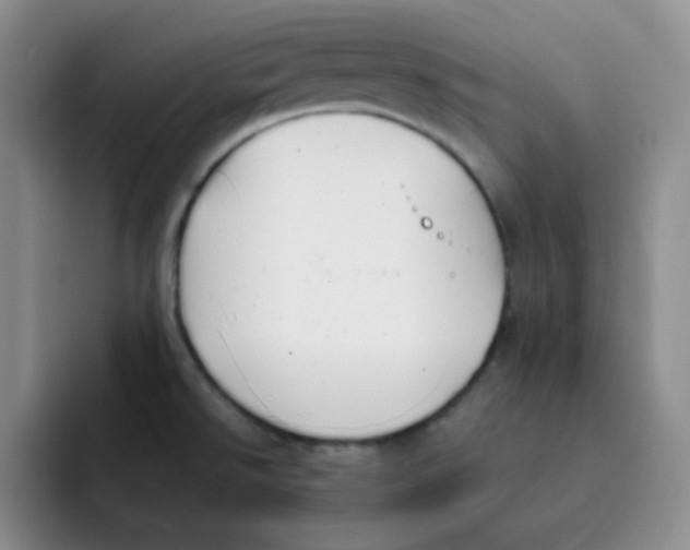 X0000091661526200709201135