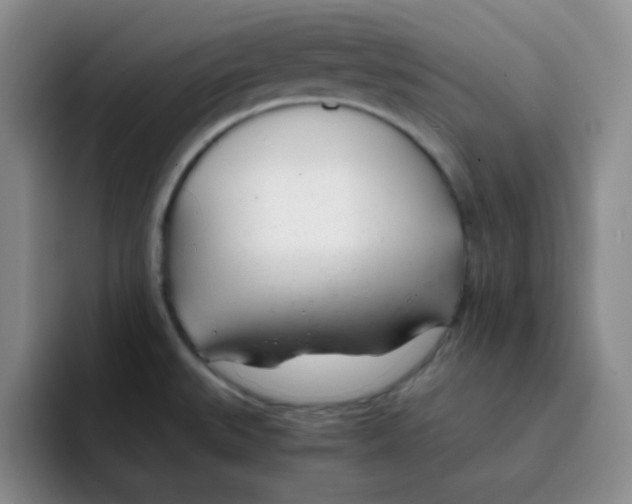 X0000091661527200709201135