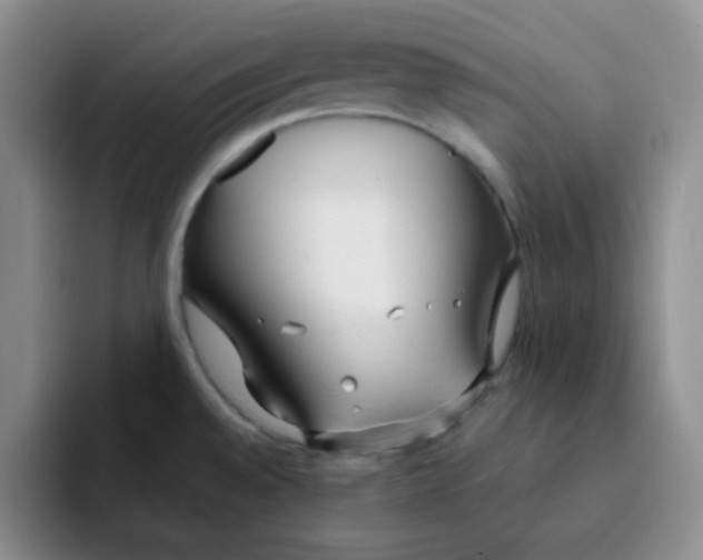 X0000091661528200709201135