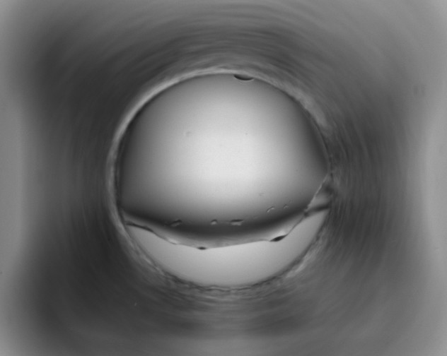 X0000091661530200709201135