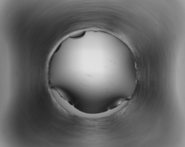 X0000091661532200709201135