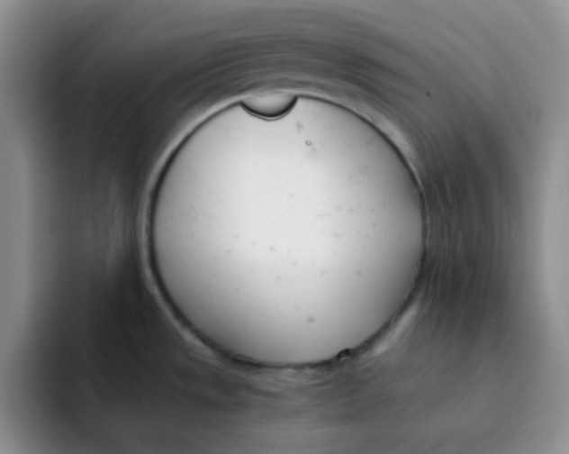 X0000091661533200709201135