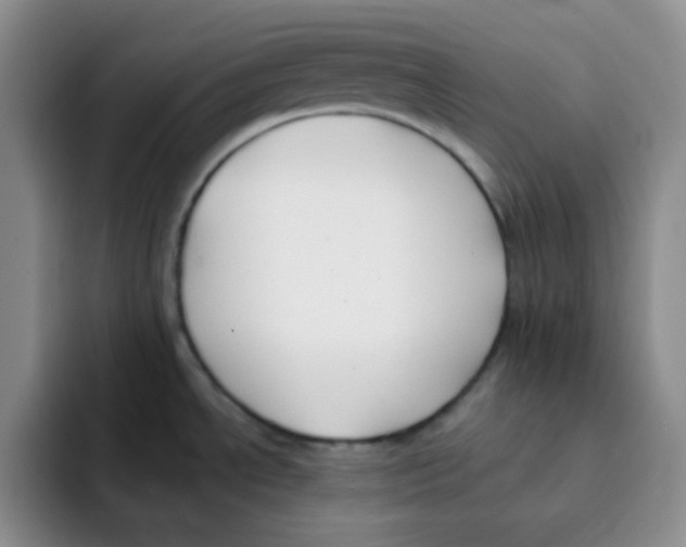 X0000091661534200709201135