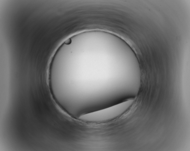 X0000091661535200709201135