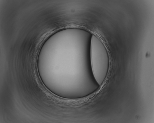 X0000091670001200708231024