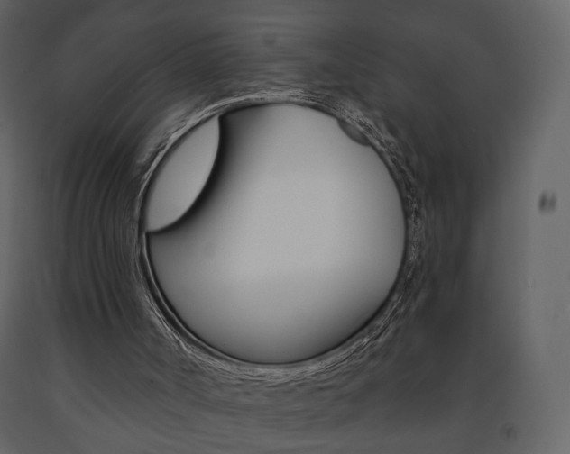 X0000091670002200708231024