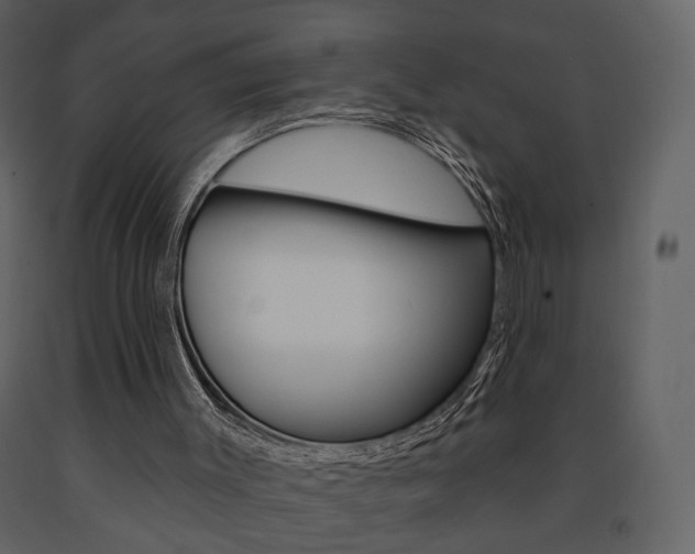X0000091670003200708231024