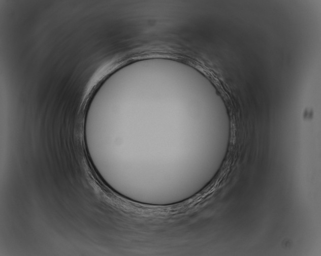 X0000091670004200708231024