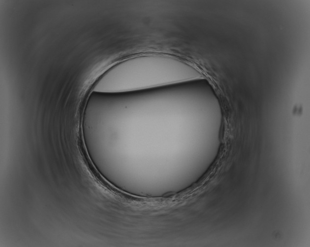 X0000091670005200708231024
