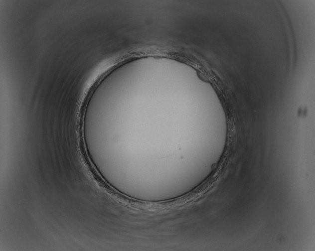 X0000091670006200708231024