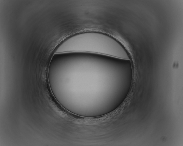 X0000091670009200708231024