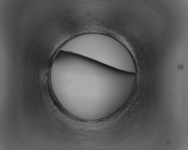 X0000091670010200708231024