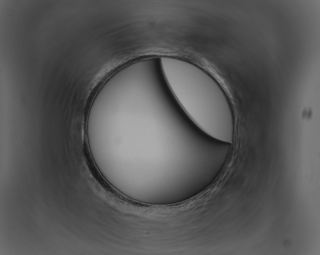 X0000091670011200708231024
