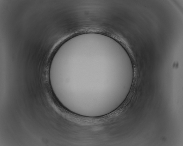 X0000091670012200708231024
