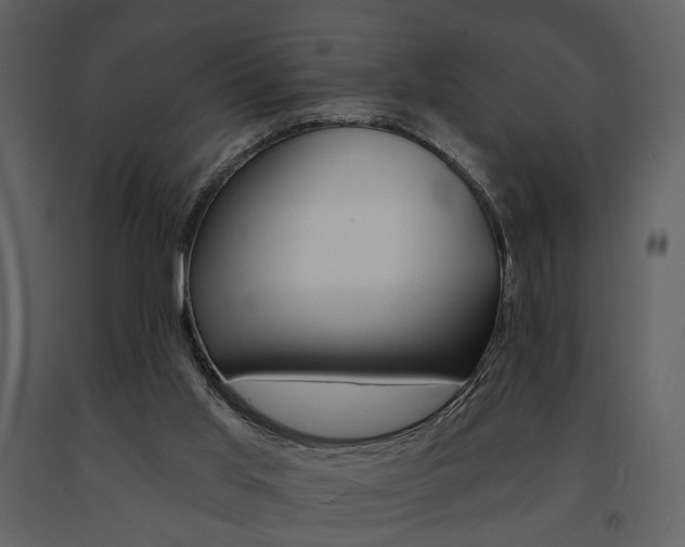 X0000091670013200708231024