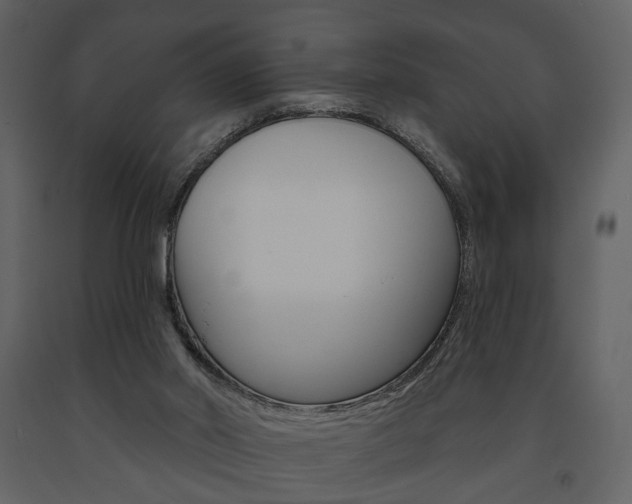 X0000091670014200708231024