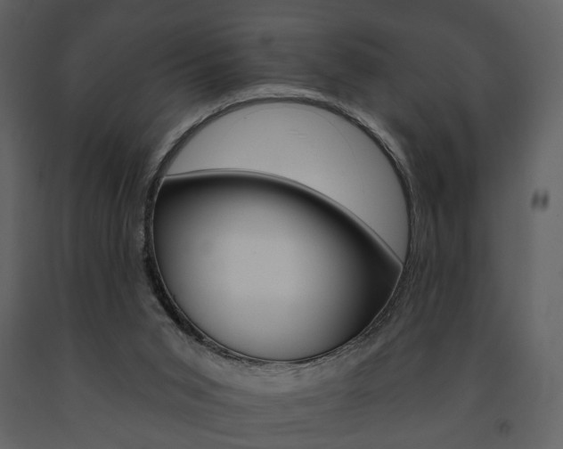 X0000091670015200708231024