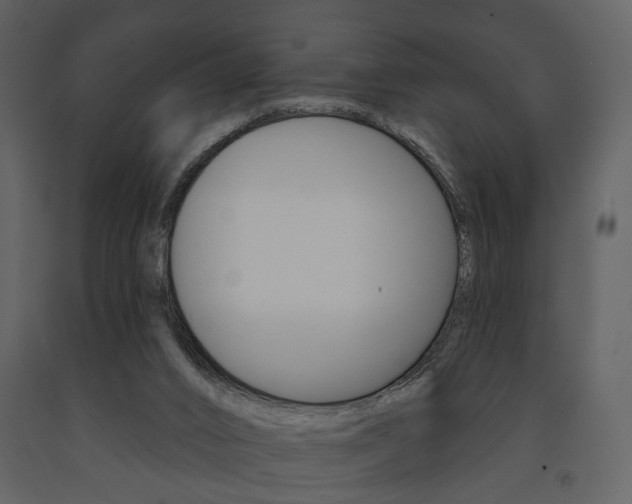 X0000091670016200708231024