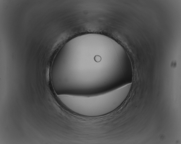 X0000091670019200708231024