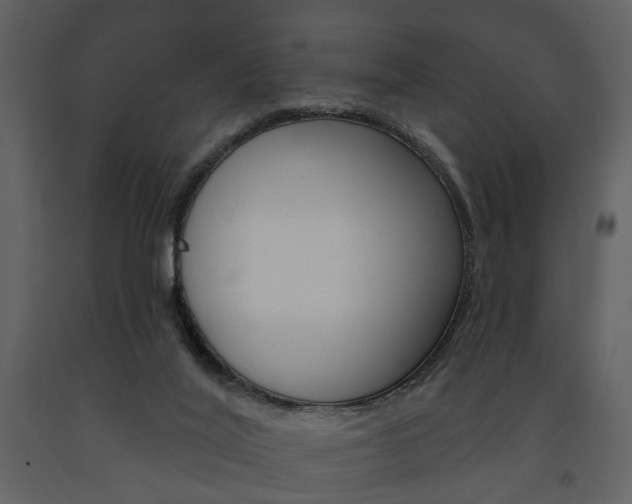 X0000091670020200708231024