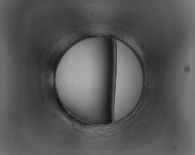 X0000091670021200708231024
