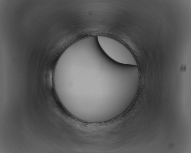 X0000091670022200708231024