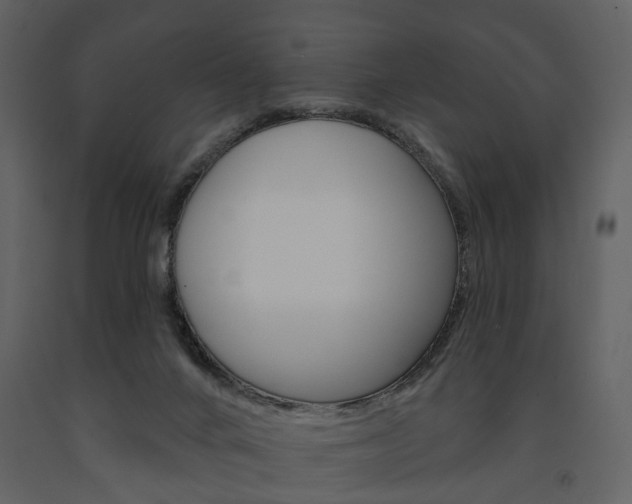 X0000091670024200708231024
