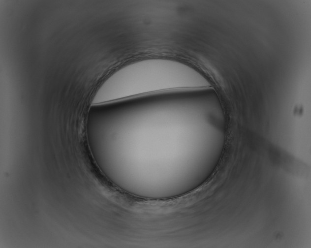 X0000091670025200708231024