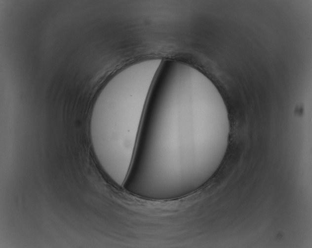 X0000091670027200708231023