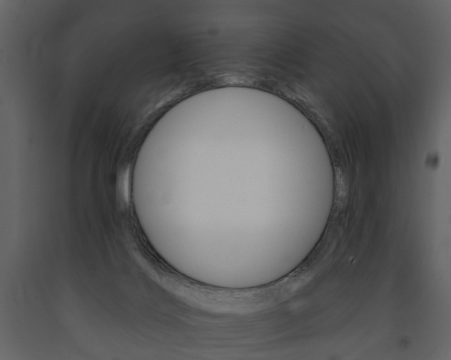 X0000091670028200708231023