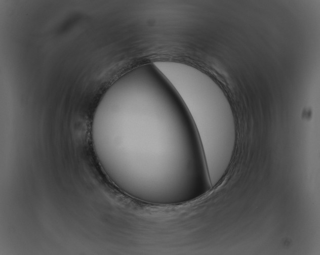 X0000091670029200708231023