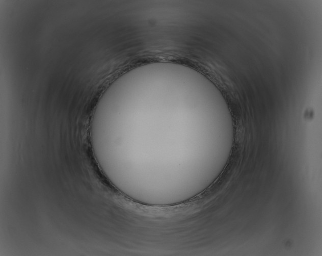X0000091670030200708231023