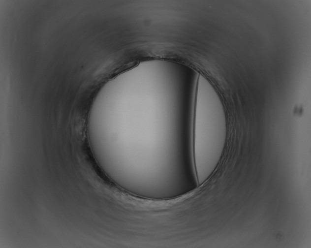 X0000091670031200708231023