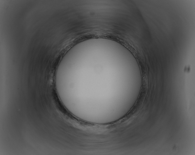 X0000091670032200708231023