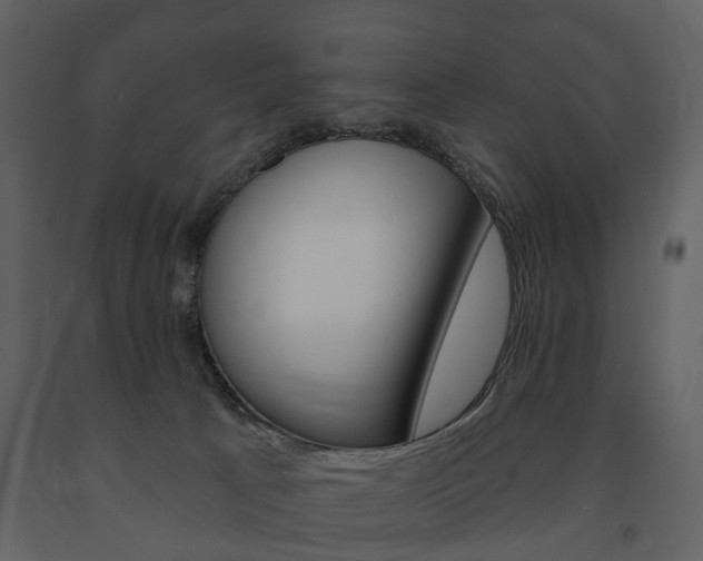 X0000091670033200708231023