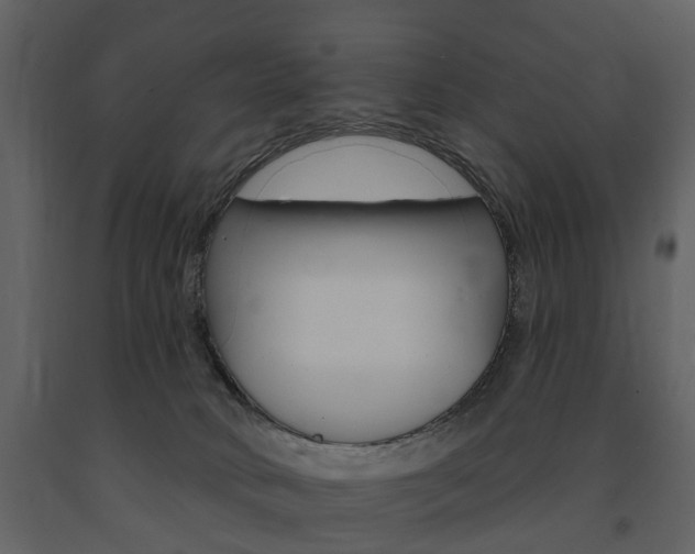 X0000091670034200708231023