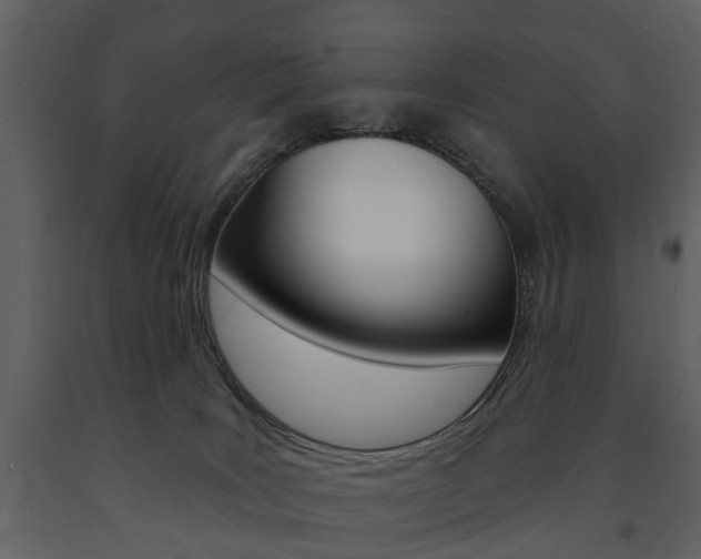 X0000091670035200708231023
