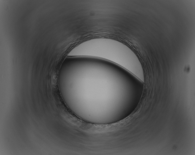 X0000091670037200708231023