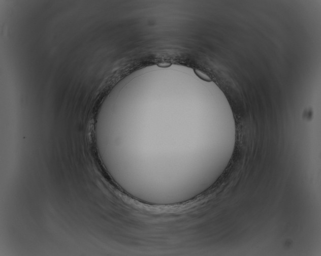 X0000091670038200708231023