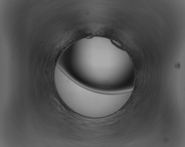 X0000091670039200708231023