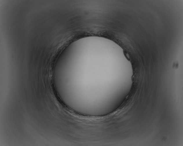 X0000091670040200708231023