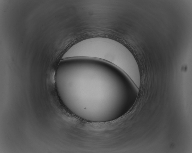 X0000091670041200708231023