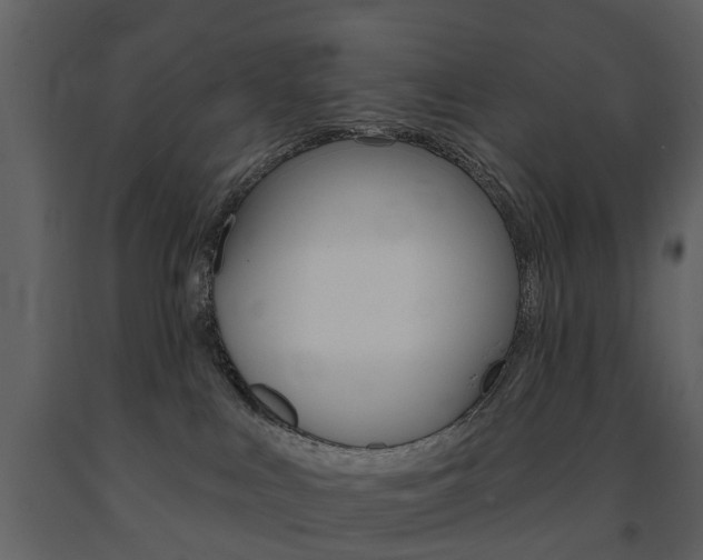 X0000091670043200708231023