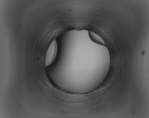 X0000091670044200708231023