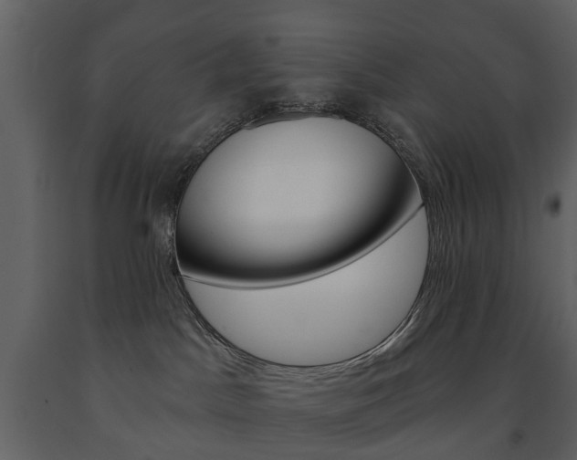 X0000091670045200708231023