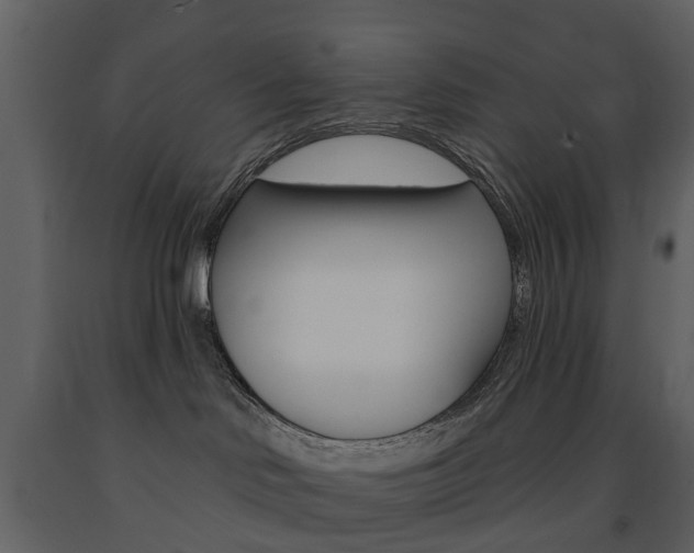 X0000091670046200708231023
