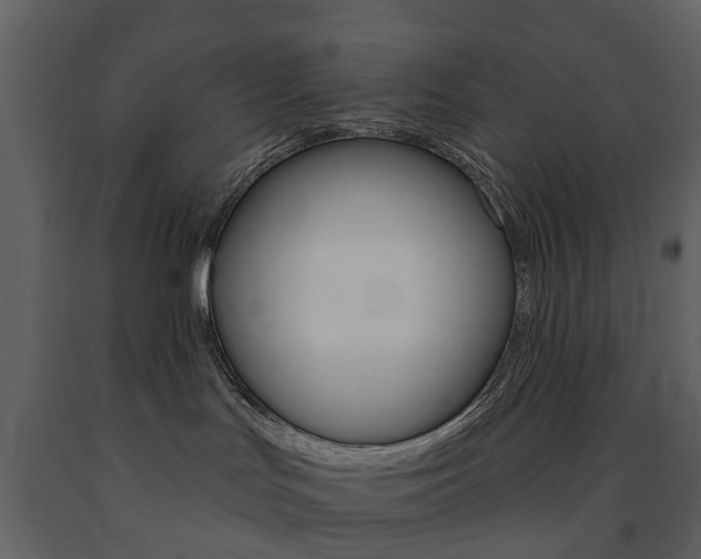 X0000091670047200708231023